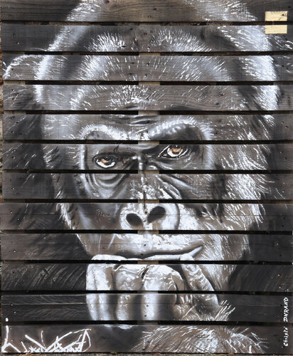 Gorille 2 van Christophe DURAND, Schilderij te koop op Singulart