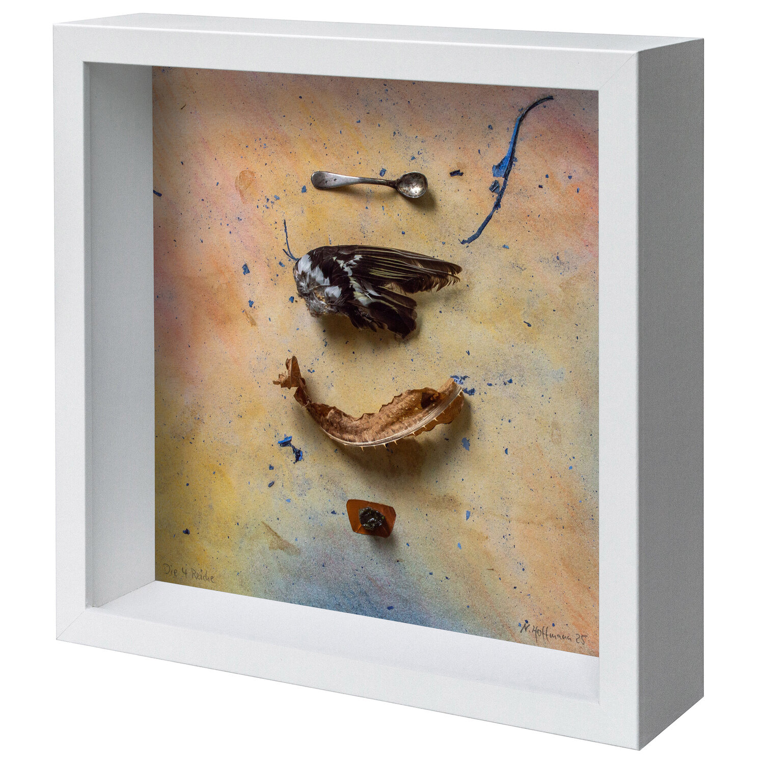 The four kingdoms Nils Hoffmann