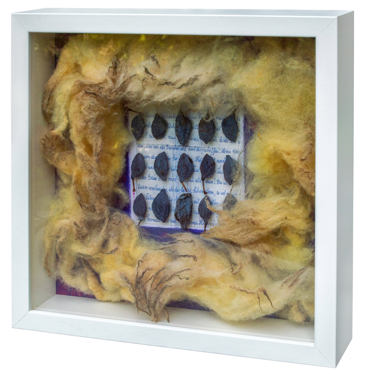 square sheepskin Nils Hoffmann