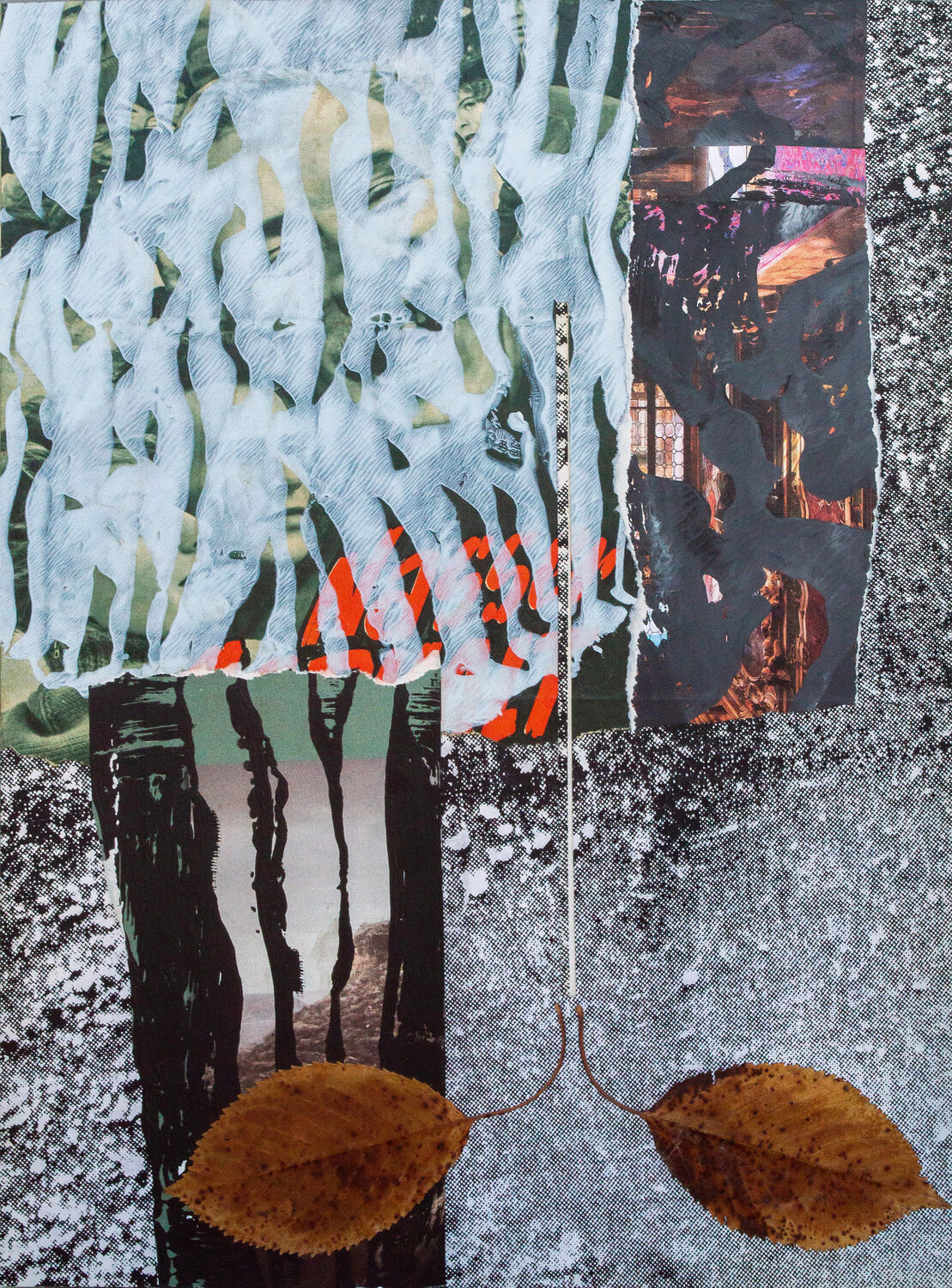 Wet asphalt Nils Hoffmann