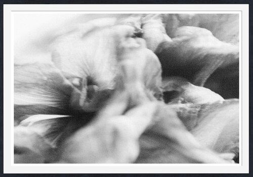 Me tuere amore [Museum Quality Fine Art Print / Archival Pigment Print] by Heli Lehtinen, Photography for Sale on Singulart