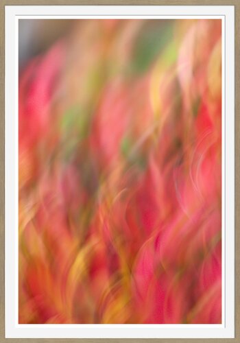 Autumn Dance by Heli Lehtinen, Photography for Sale on Singulart