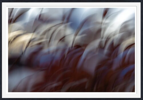 Whisper in the wind  [Museum Quality Fine Art Print / Archival Pigment Print] by Heli Lehtinen, Photography for Sale on Singulart