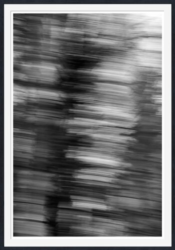 Intertwined [Museum Quality Fine Art Print / Archival Pigment Print] by Heli Lehtinen, Photography for Sale on Singulart