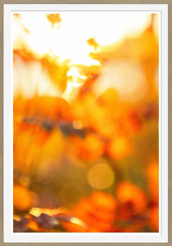 Golden Harvest  [Museum Quality Fine Art Print / Archival Pigment Print] di Heli Lehtinen, Fotografia in vendita su Singulart