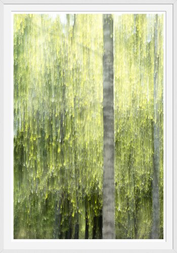 Ode to Spring [Museum Quality Fine Art Print / Archival Pigment Print] by Heli Lehtinen, Photography for Sale on Singulart