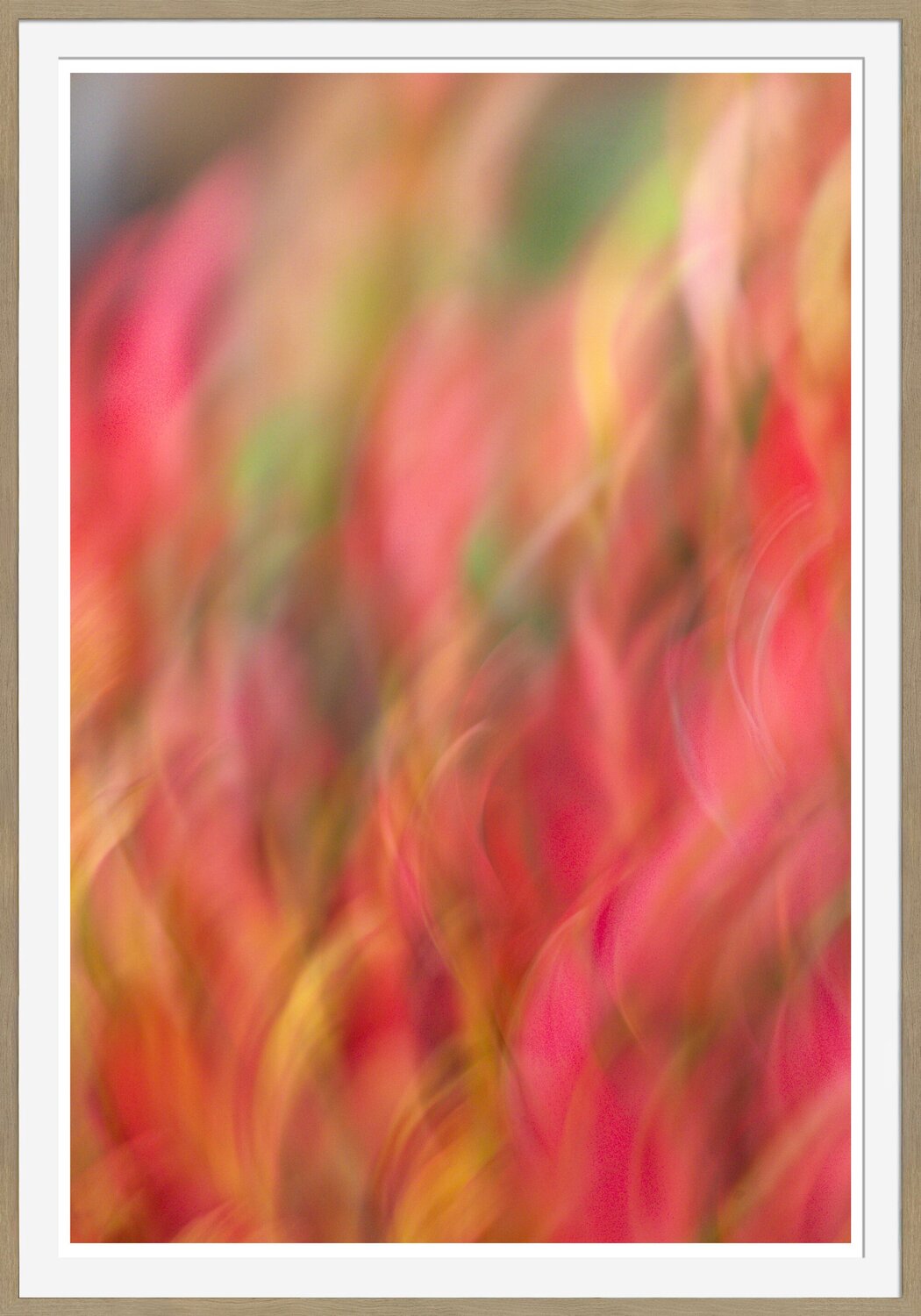 Autumn Dance  [Museum Quality Fine Art Print / Archival Pigment Print] Heli Lehtinen