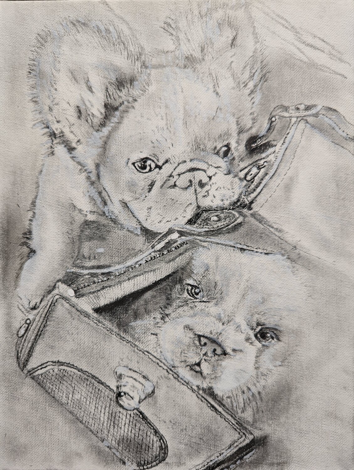 Quiet Companions Ryan Beal