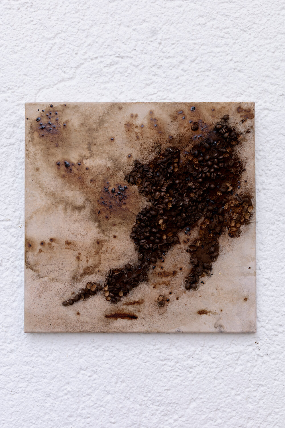 "Kaffeekontinent" Merima Imamovic