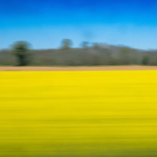 TGV van Didier Vandenbosch, Fotografie te koop op Singulart