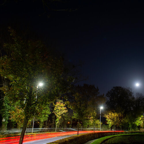 Beersel von Didier Vandenbosch, Fotografie kaufen auf Singulart
