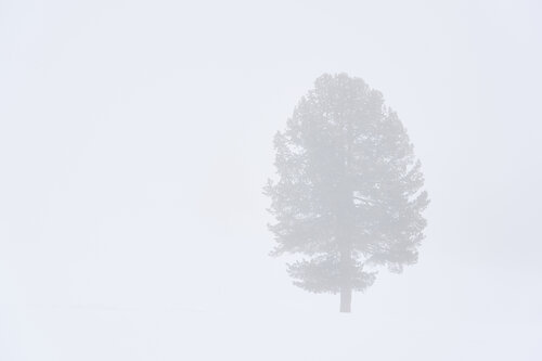 Lost van Antonio Milesi, Fotografie te koop op Singulart