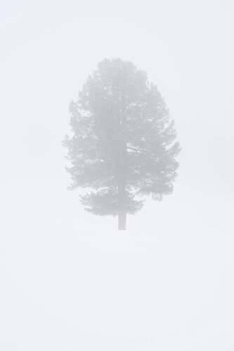 Lost par Antonio Milesi, Photographie en vente sur Singulart