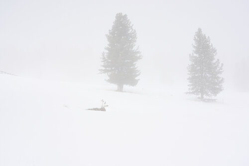 Just two of us par Antonio Milesi, Photographie en vente sur Singulart
