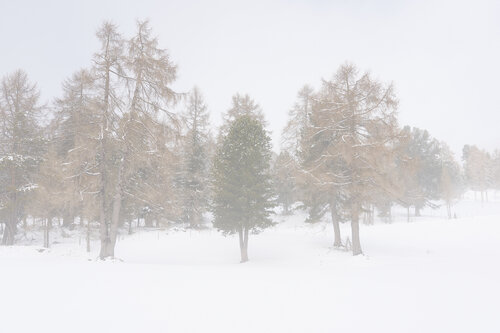 Everything Still par Antonio Milesi, Photographie en vente sur Singulart