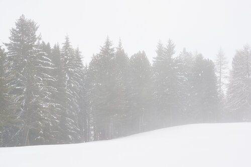 Border of Fog and Snow par Antonio Milesi, Photographie en vente sur Singulart