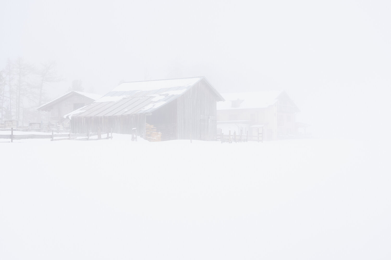 Before everything goes white Antonio Milesi