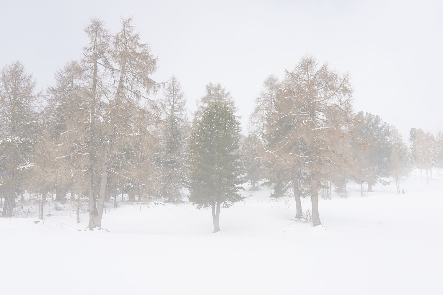 Everything Still Antonio Milesi