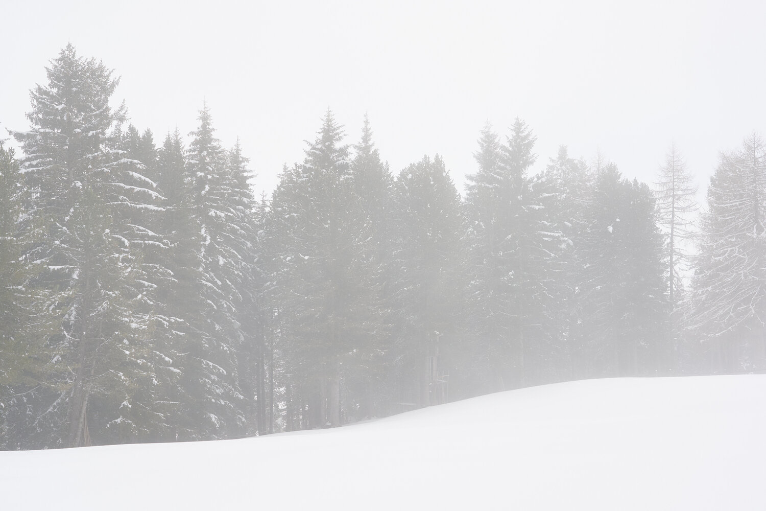 Border of Fog and Snow Antonio Milesi Fotografie zu verkaufen