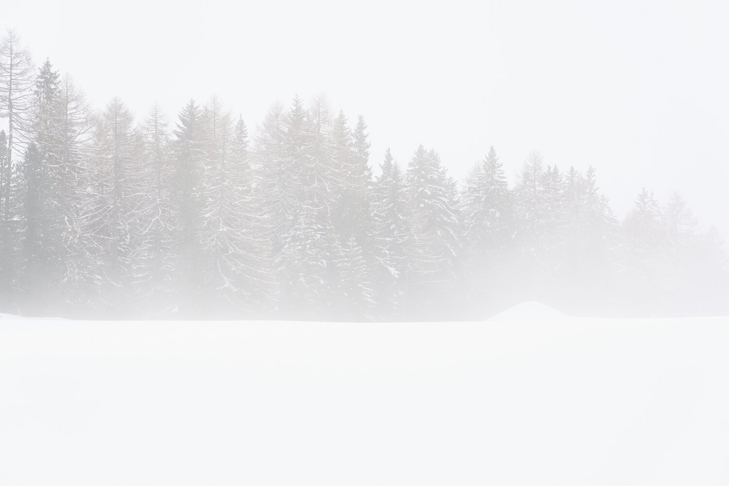 Under the snow Antonio Milesi
