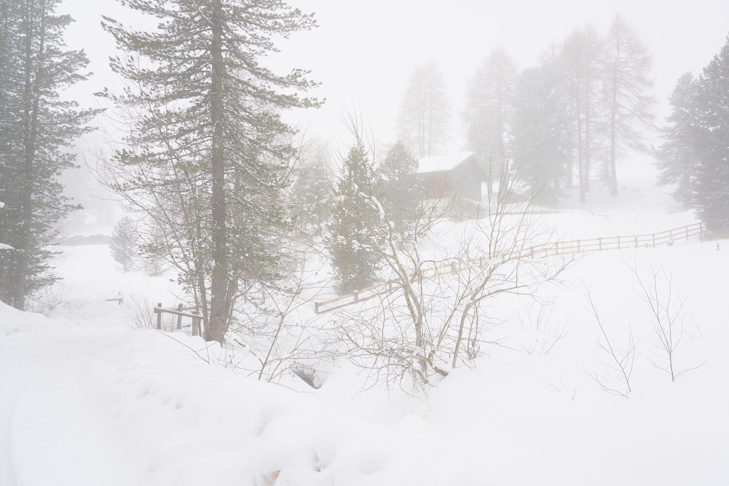 The Last House Antonio Milesi