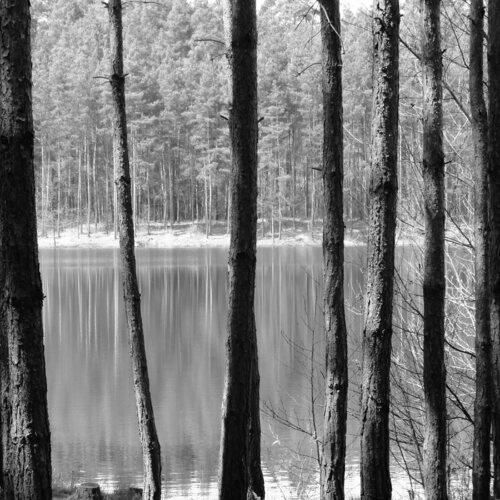Frédéric Edmond Eugène Neveur