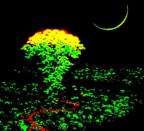 Anam Erbra - Saturation Nostalgique - 1993 von Frédéric Edmond Eugène Neveur, Digital kaufen auf Singulart