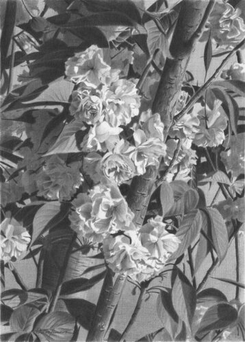 Held in Stillness II by Oksana Trofimova, Drawing for Sale on Singulart