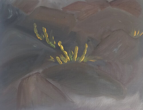 Champ de lave vingt ans après Marie France De La Cochetiere