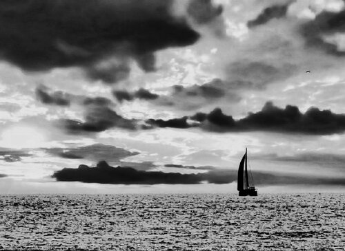 Sailing Alone in Black and White by Steven Fogel, Print for Sale on Singulart