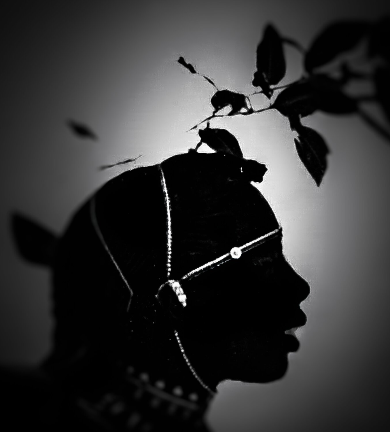 Profile of Young Samburu Man Steven Fogel Digital zu verkaufen