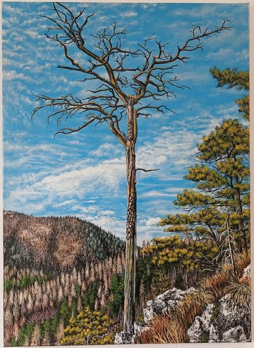 Dürrer Baum di Valentin Kern, Pittura in vendita su Singulart