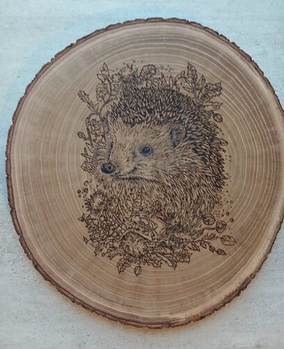 Igel (Brandmalerei) by Valentin Kern, 회화 for Sale on Singulart