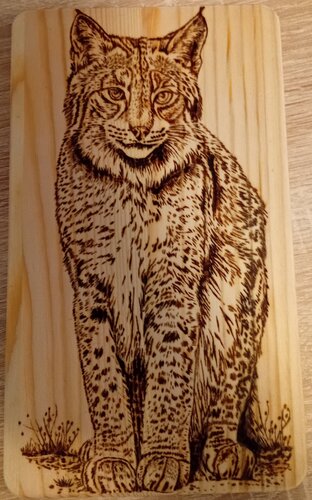 Brandmalerei auf Frühstücksbrett (Luchs) by Valentin Kern, 회화 for Sale on Singulart