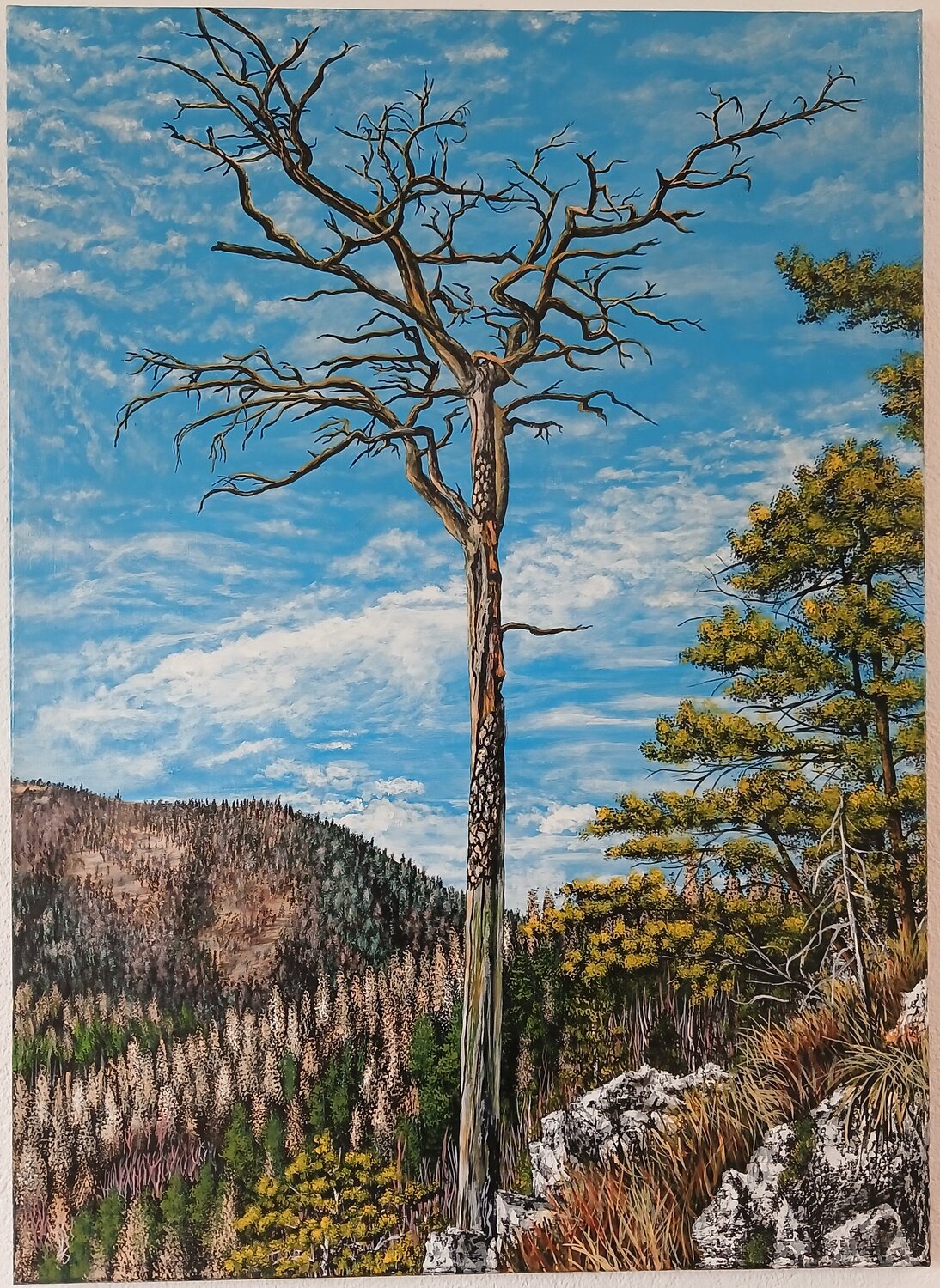 Dürrer Baum Valentin Kern
