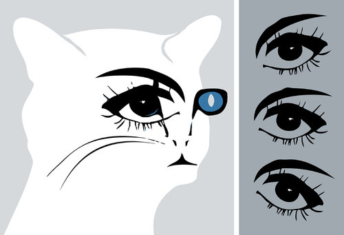 Cateyes Giclée print - tweeluik van Roos Boonstra, Digitaal te koop op Singulart