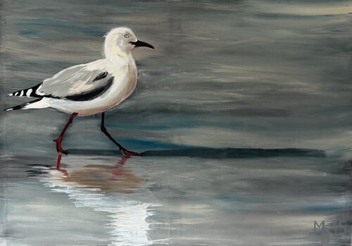 Neuseeländische Möwe am Strand di Marianne Bankmann, Pittura in vendita su Singulart