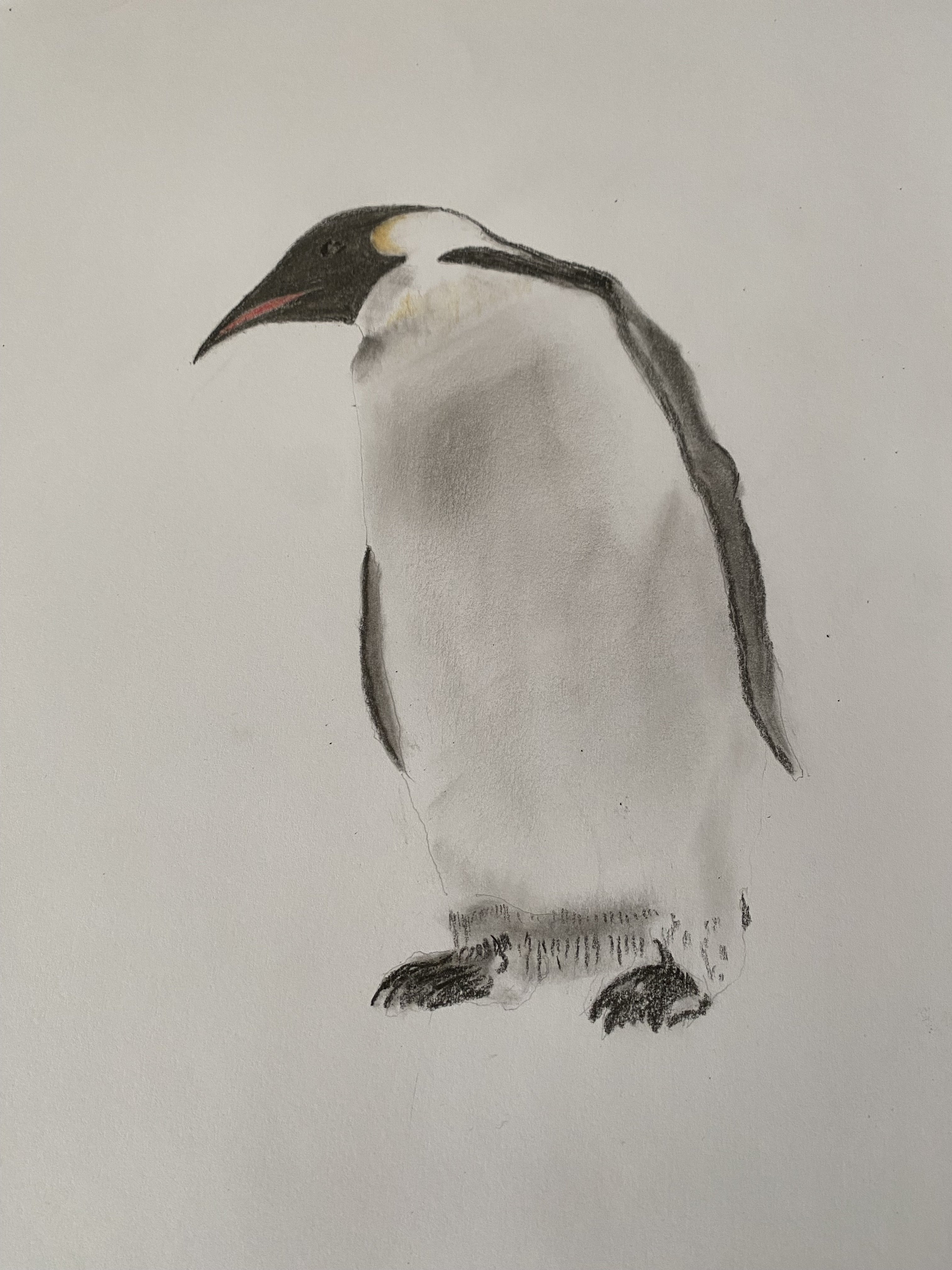 Penguin