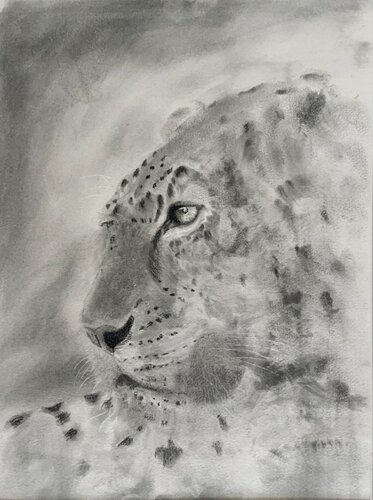 Leopard-Signed Limited Edition Print 40cmx29cm (100 Prints) by Neil Dixon, Drawing for Sale on Singulart