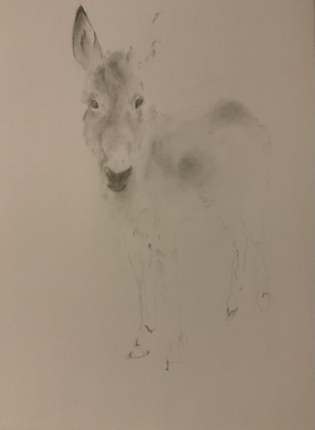 L’Ane Neil Dixon