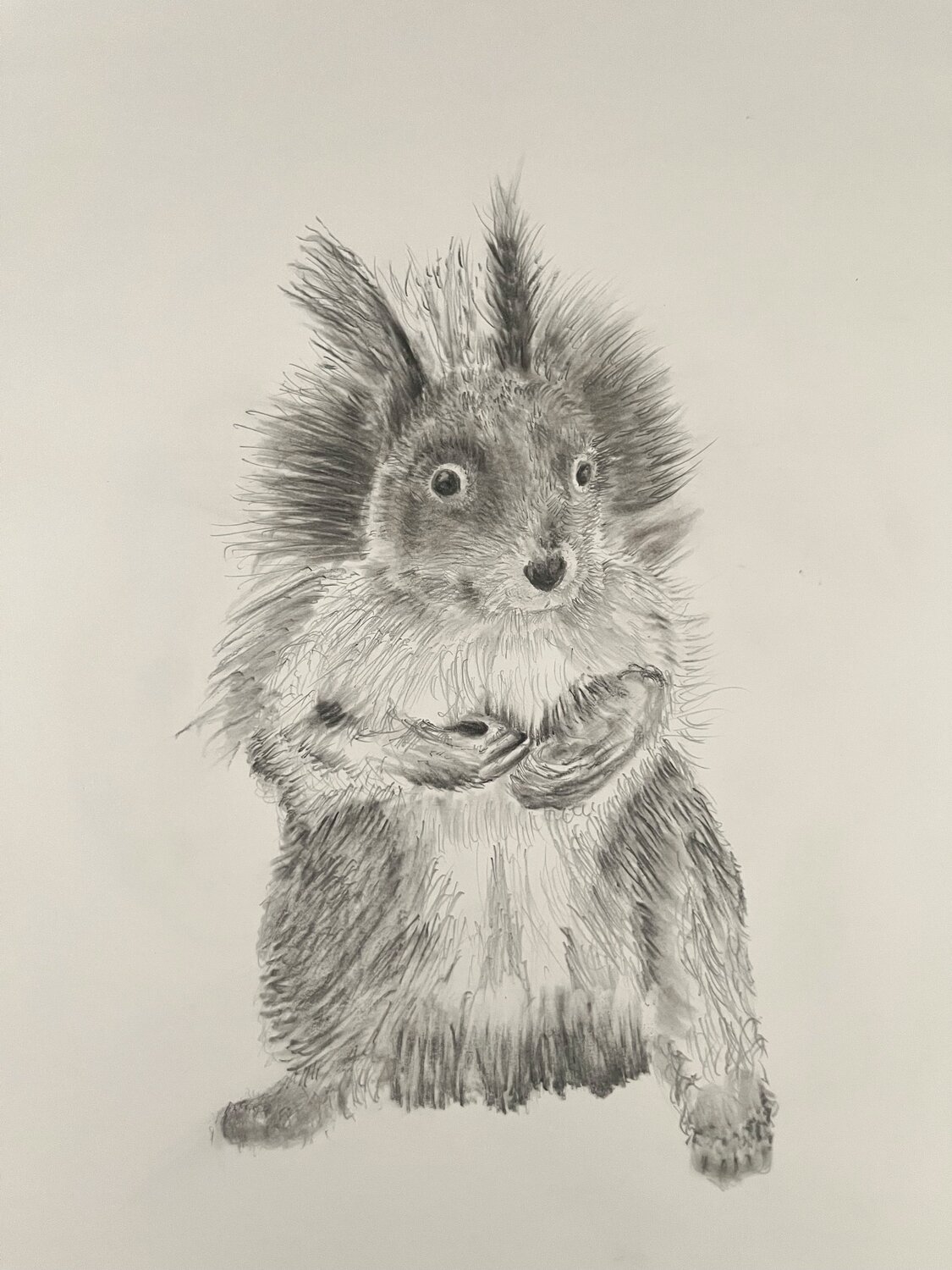 Squirrel Neil Dixon