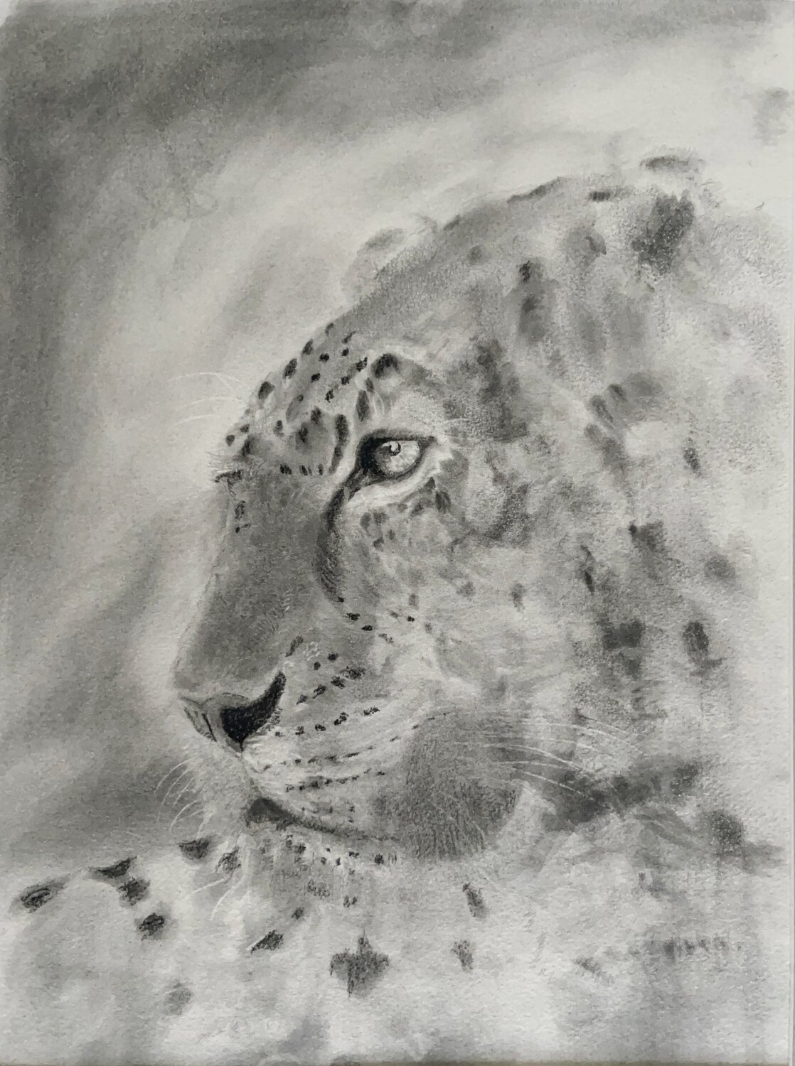Leopard-Signed Limited Edition Print 40cmx29cm (100 Prints) Neil Dixon