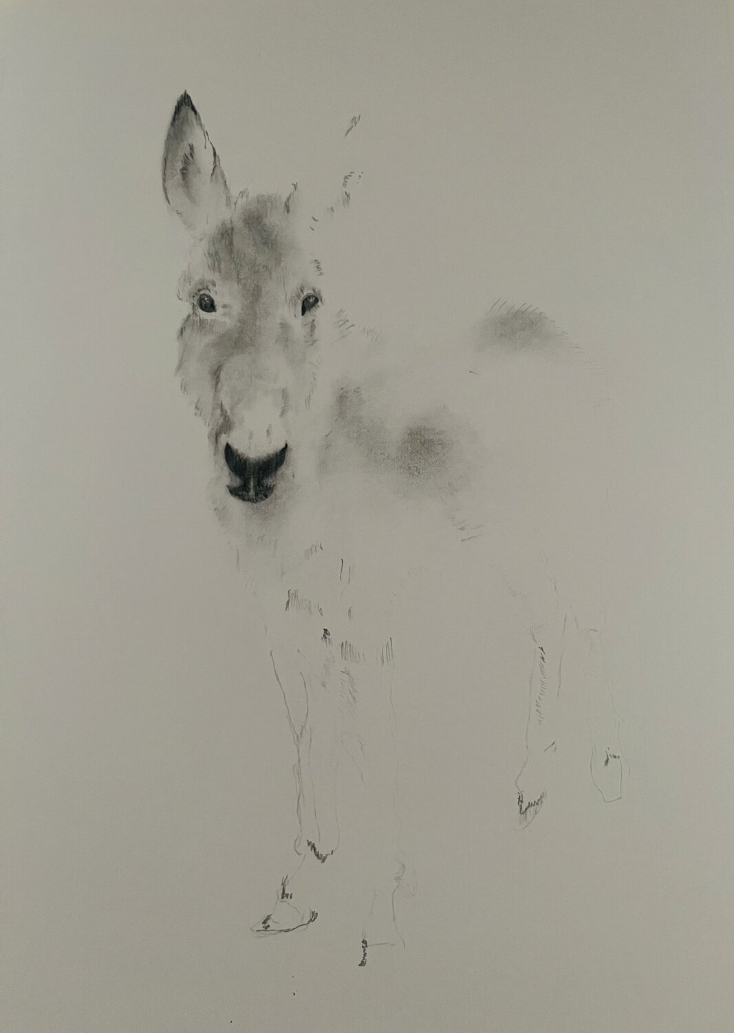 L’Ane- Signed Limited Edition Print 40cmx29cm (100 Prints) Neil Dixon