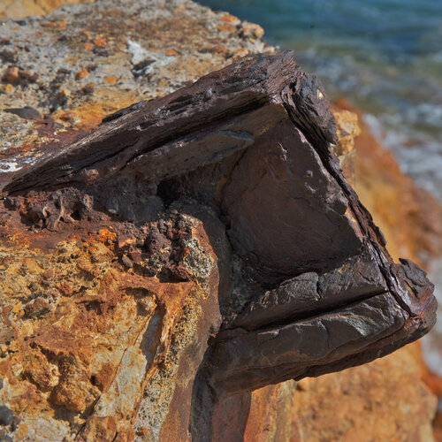 Isola d'Elba Topinetti 9 von Nicolò Orsi Battaglini, Fotografie kaufen auf Singulart