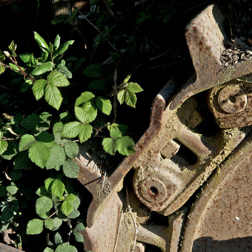 Isola d’Elba - Cava di Colle Reciso 1 von Nicolò Orsi Battaglini, Fotografie kaufen auf Singulart