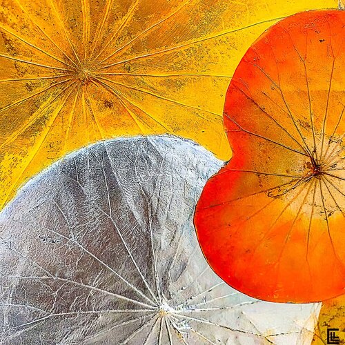 LOTUS JAUNE 60 von claire lassonnery, Druck kaufen auf Singulart