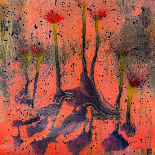 IRIS 60 claire lassonnery