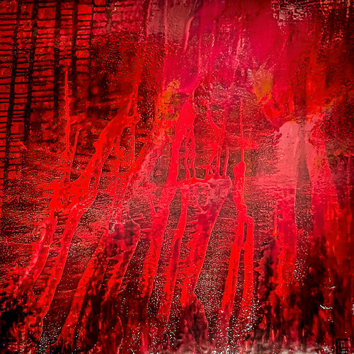 SEQUOIA 80 von claire lassonnery, Druck kaufen auf Singulart