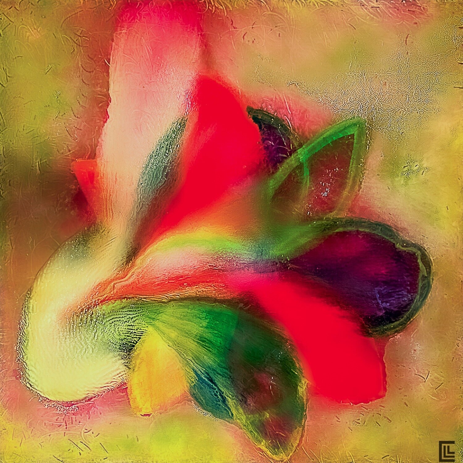 MURMURES 60 claire lassonnery