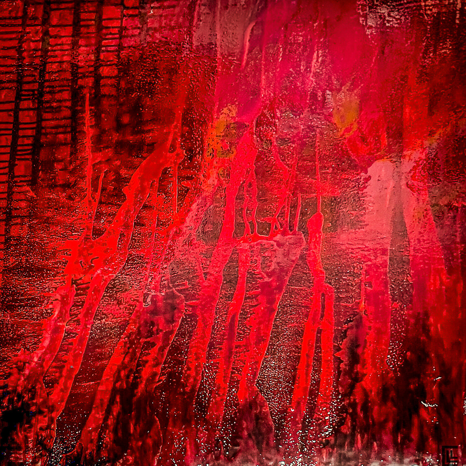 SEQUOIA 80 claire lassonnery